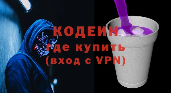 дживик Няндома