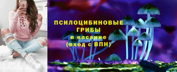 соль ск Белокуриха